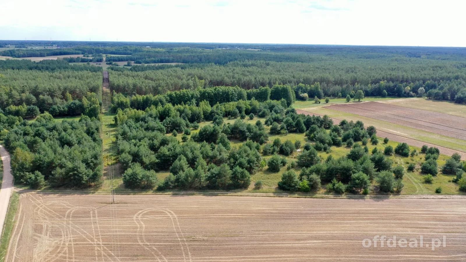 plot for sale in Osetno | 155,774 m²