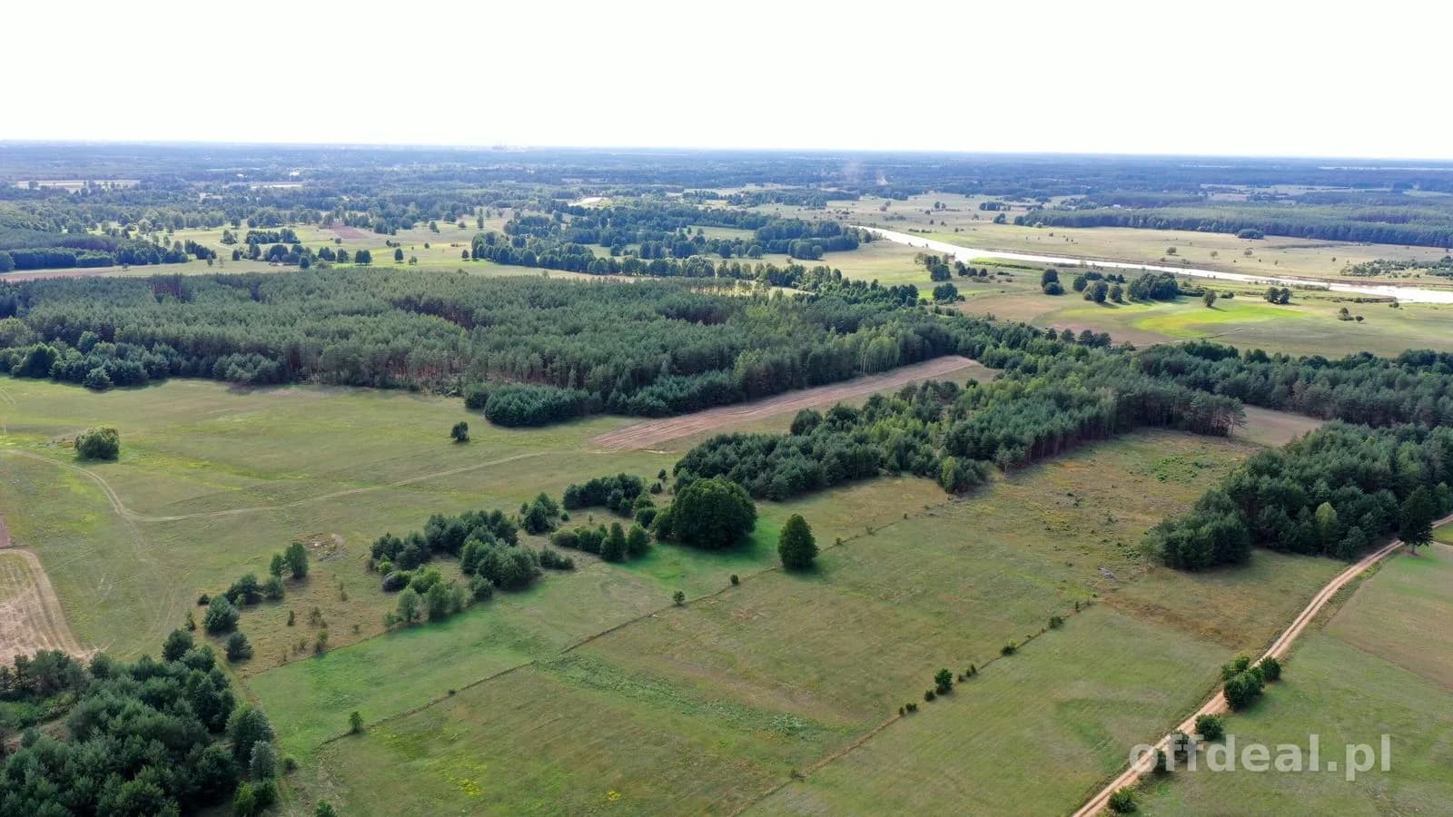 plot for sale in Osetno | 155,774 m²