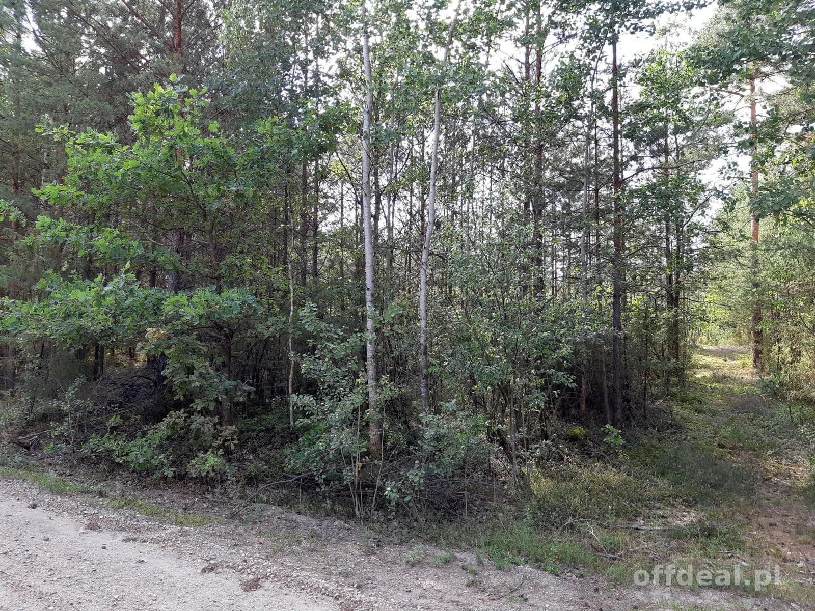 plot for sale in Osetno | 155,774 m²