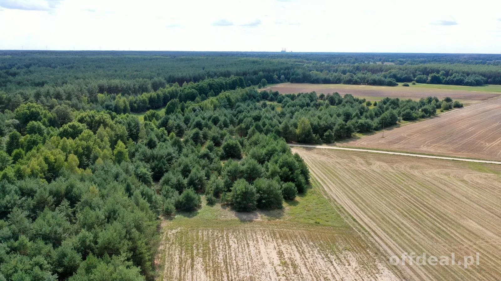 plot for sale in Osetno | 155,774 m²