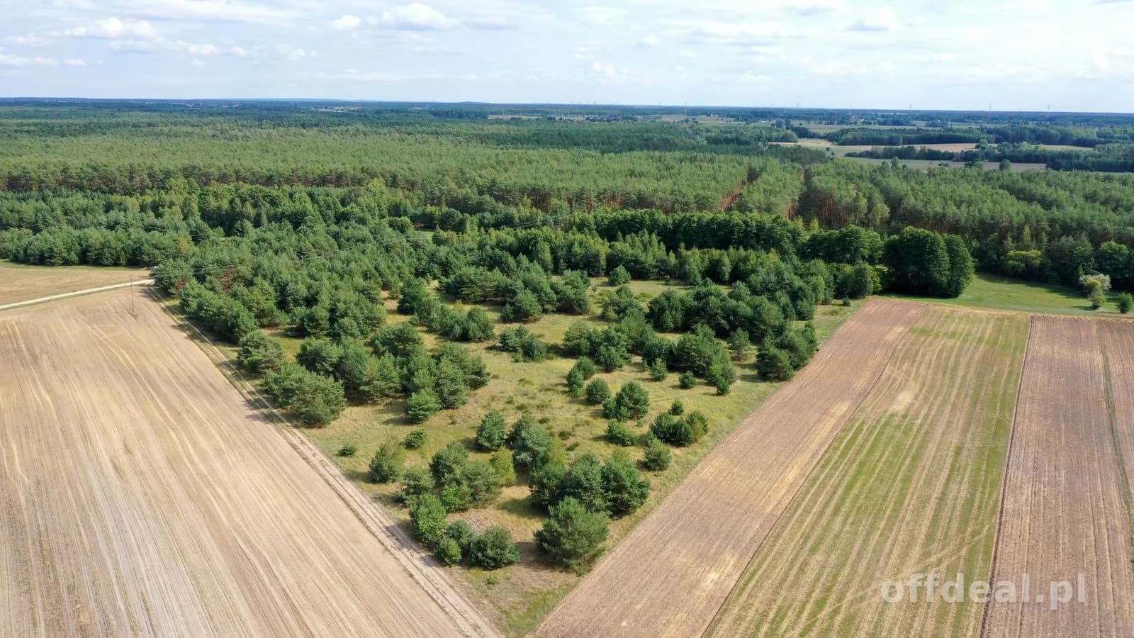 plot for sale in Osetno | 155,774 m²