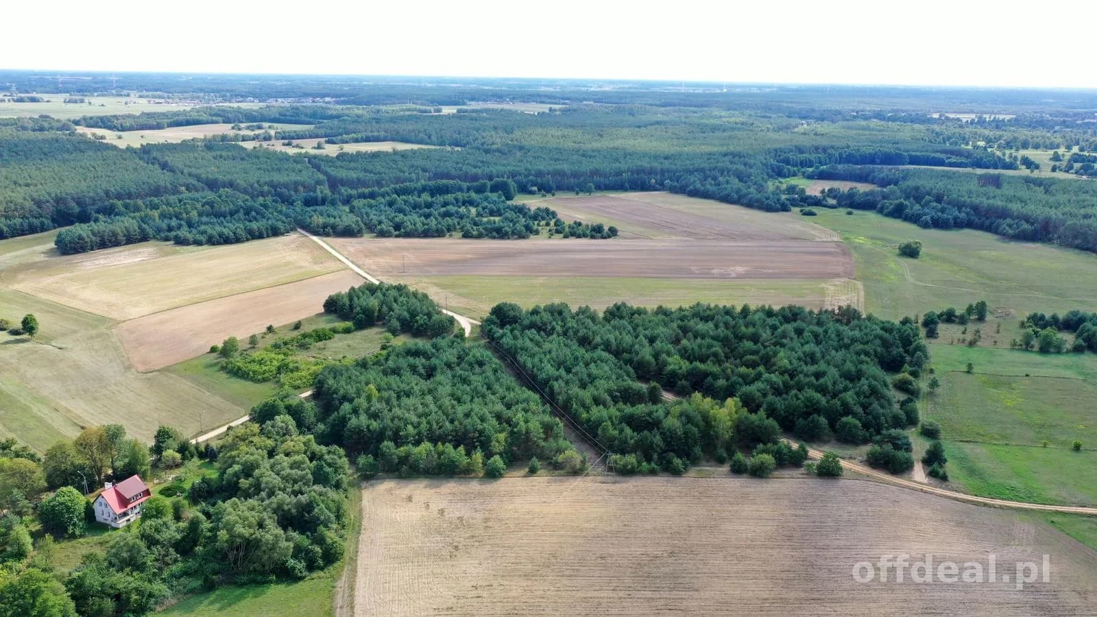 plot for sale in Osetno | 155,774 m²