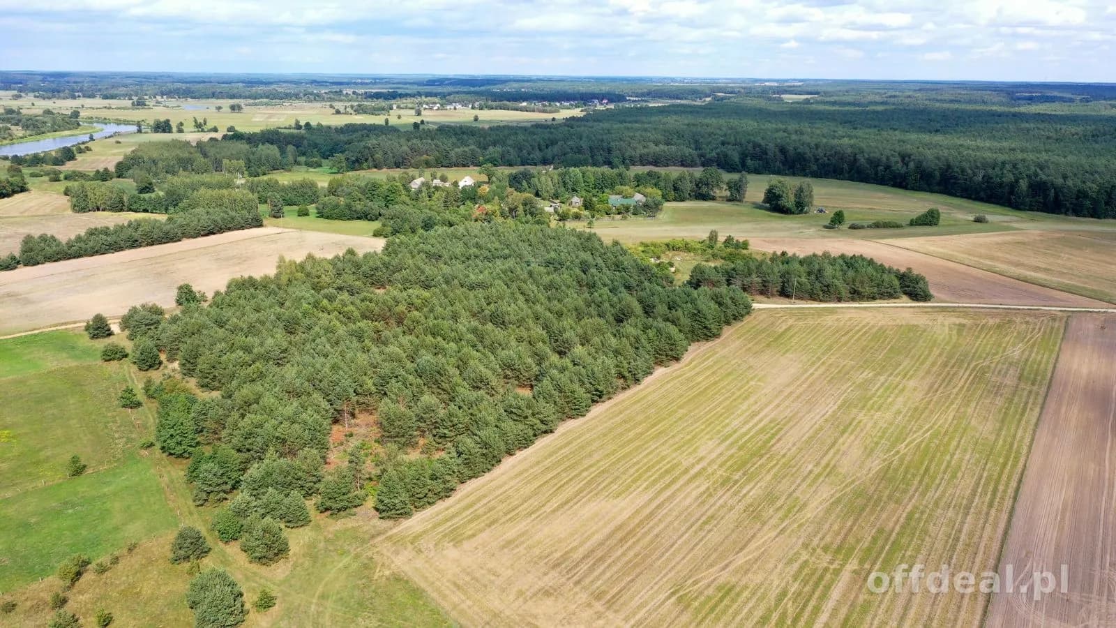 plot for sale in Osetno | 155,774 m²