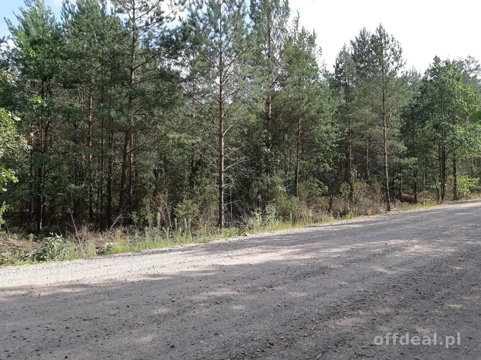 plot for sale in Osetno | 155,774 m²
