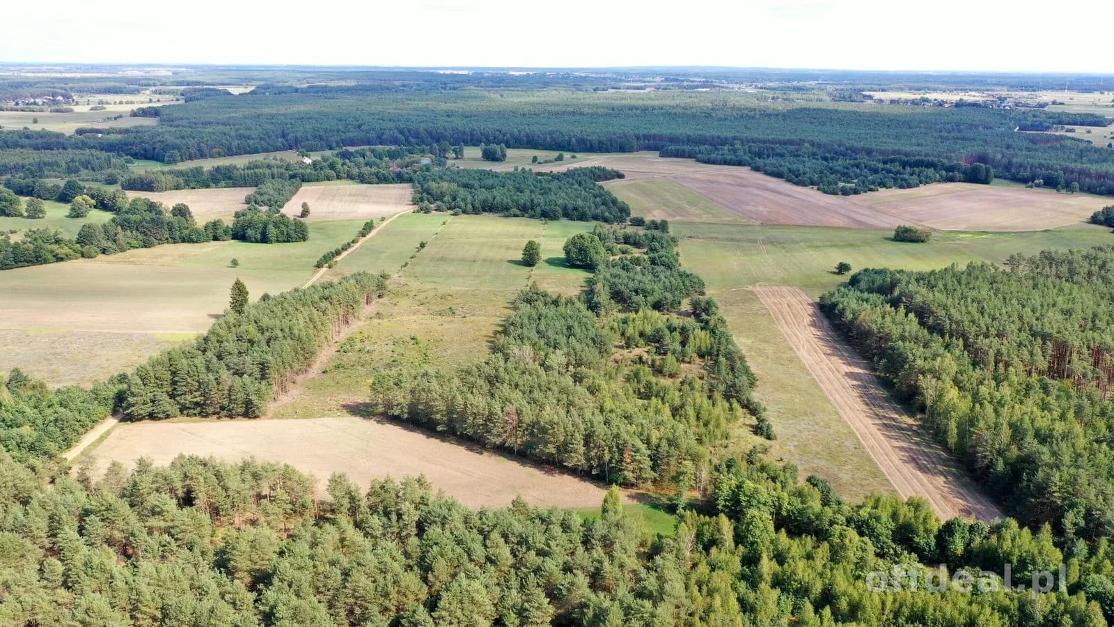plot for sale in Osetno | 155,774 m²