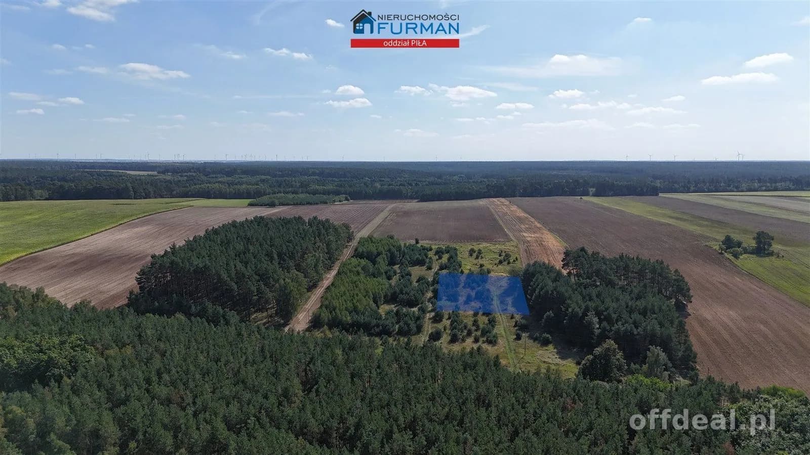 Photo 1: Plot, 3003 m², Strzelczyki