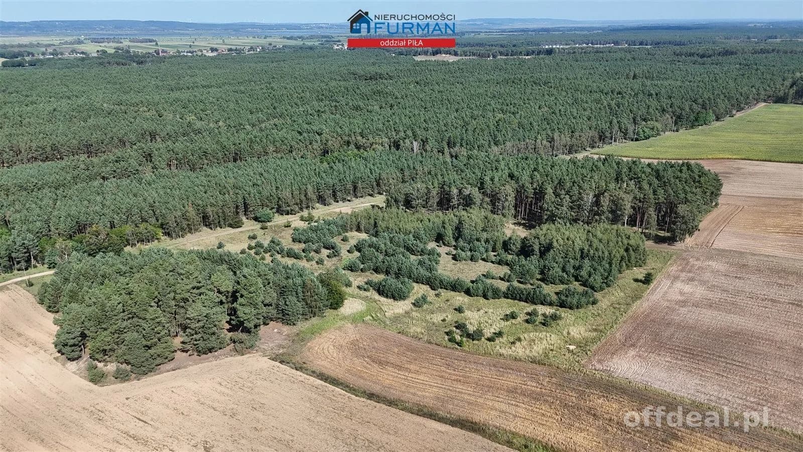 Photo 4: Plot, 3003 m², Strzelczyki