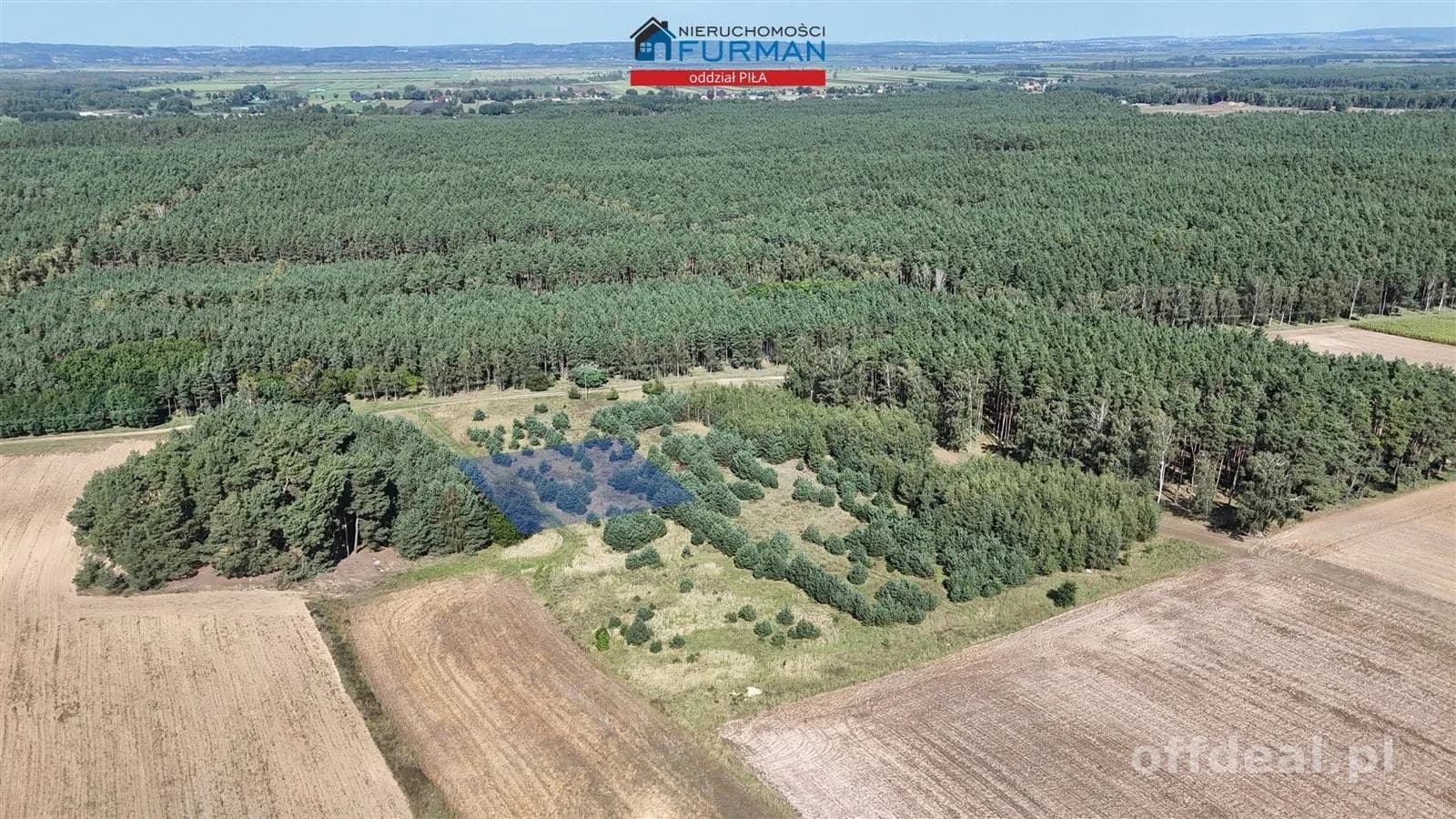Photo 2: Plot, 3003 m², Strzelczyki