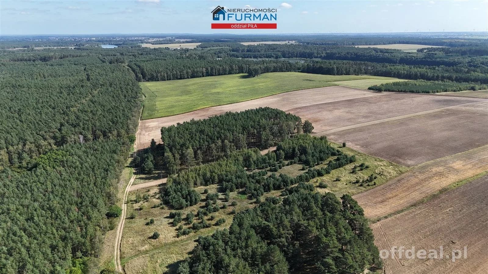 Photo 3: Plot, 3003 m², Strzelczyki
