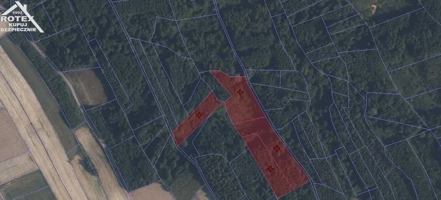 plot for sale in Niedźwiada | 10,000 m²