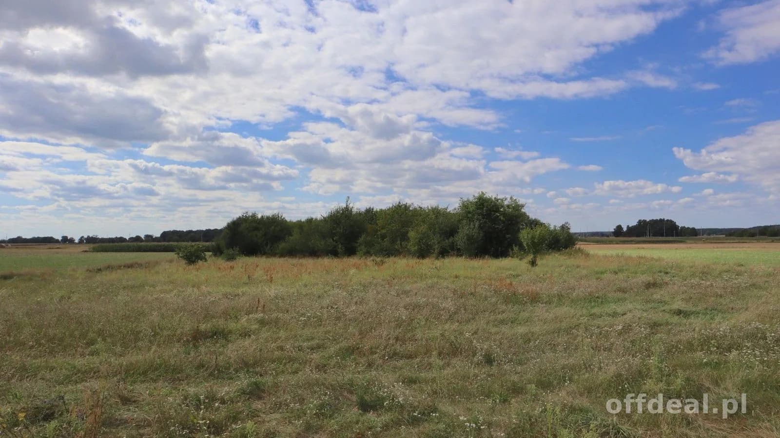 Photo 3: Plot, 5300 m², Cieszków