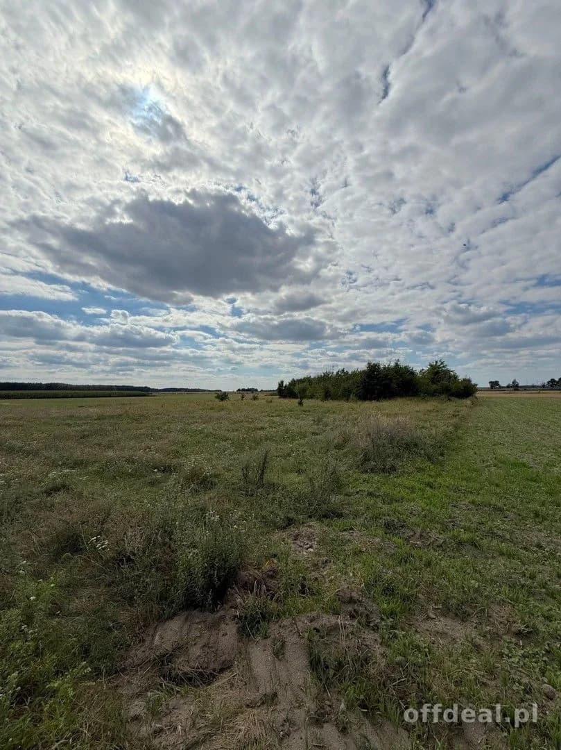Photo 8: Plot, 5300 m², Cieszków