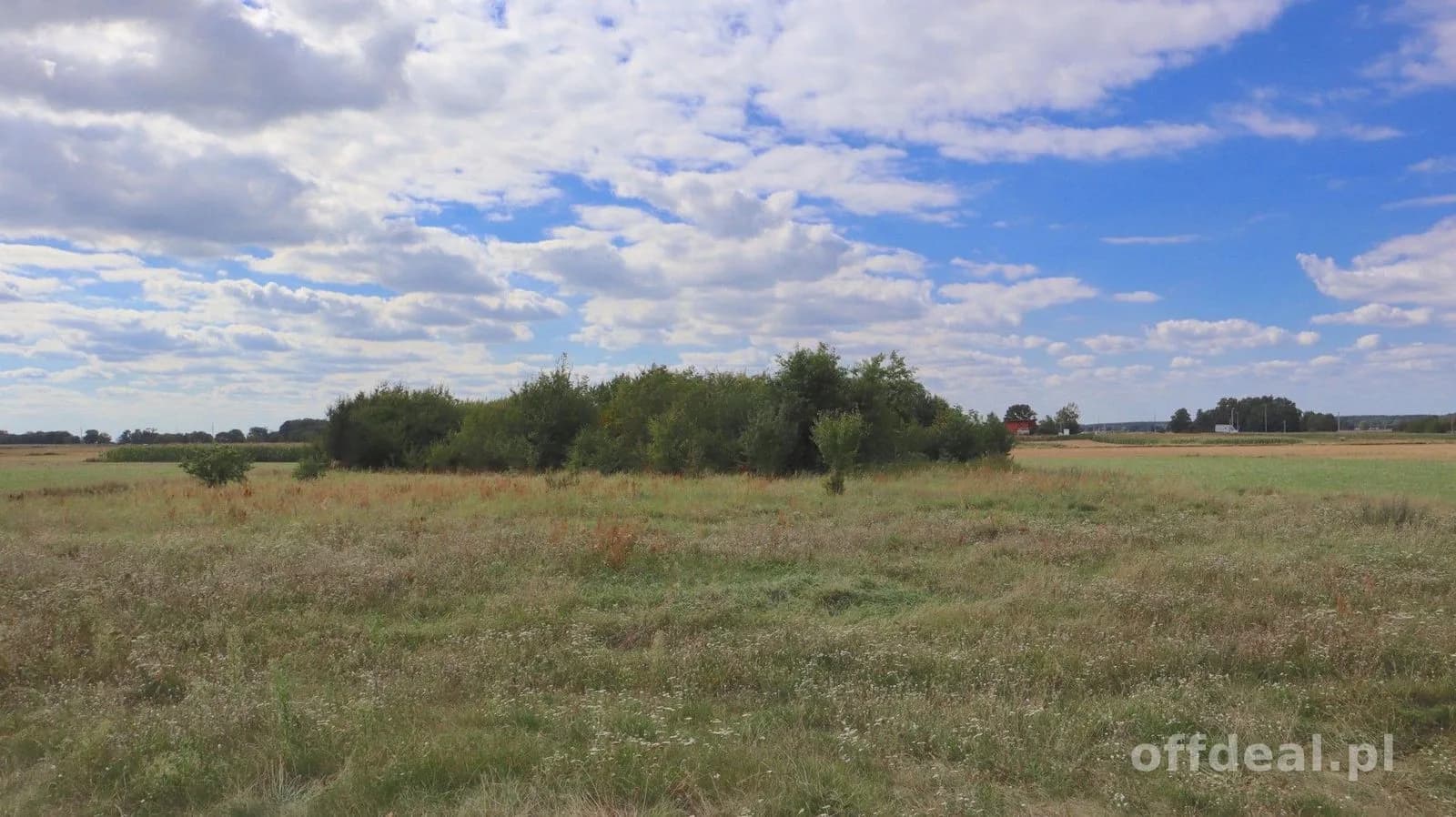 Photo 7: Plot, 5300 m², Cieszków