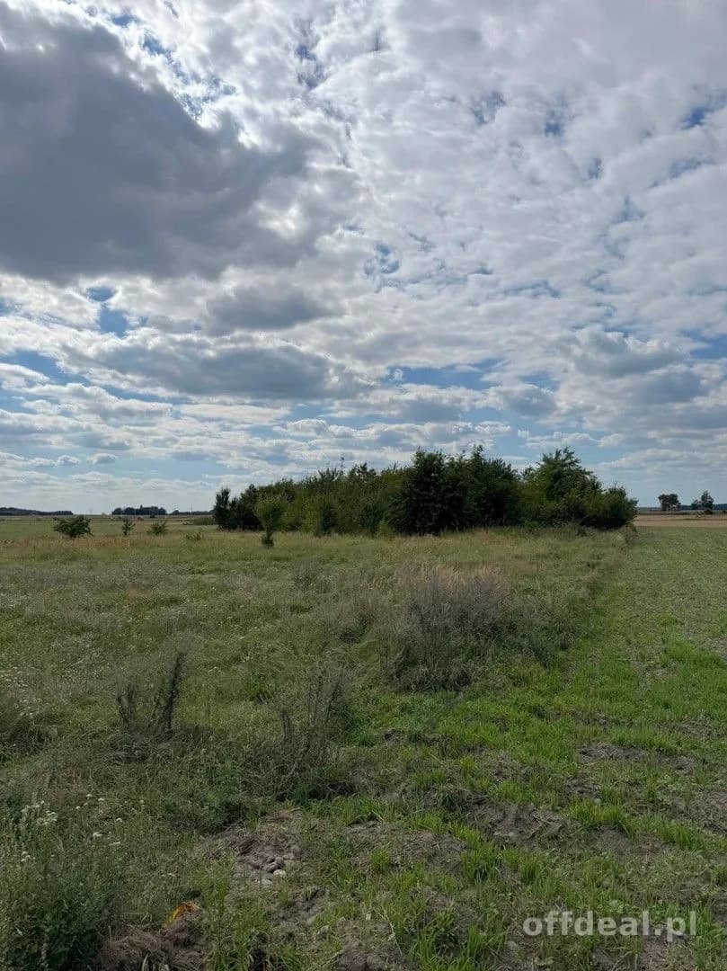 Photo 12: Plot, 5300 m², Cieszków