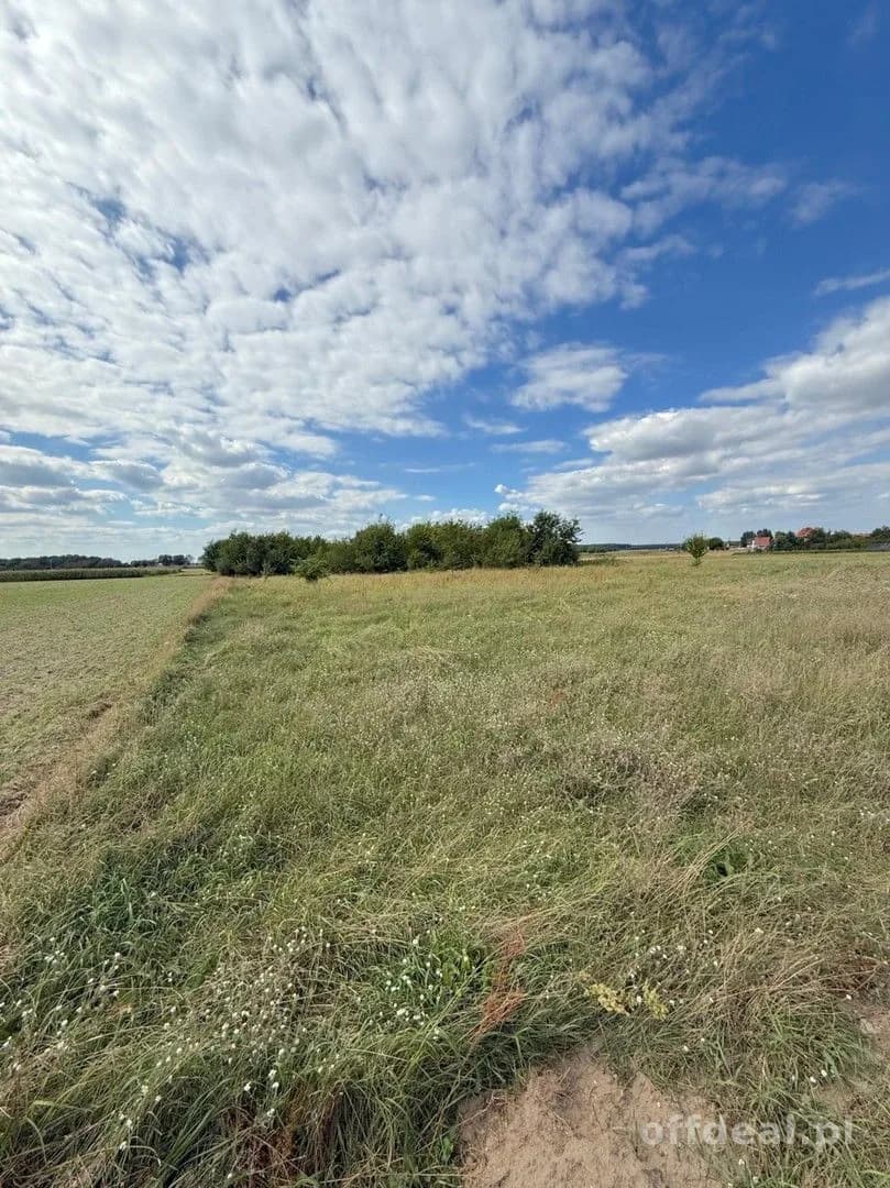 Photo 10: Plot, 5300 m², Cieszków