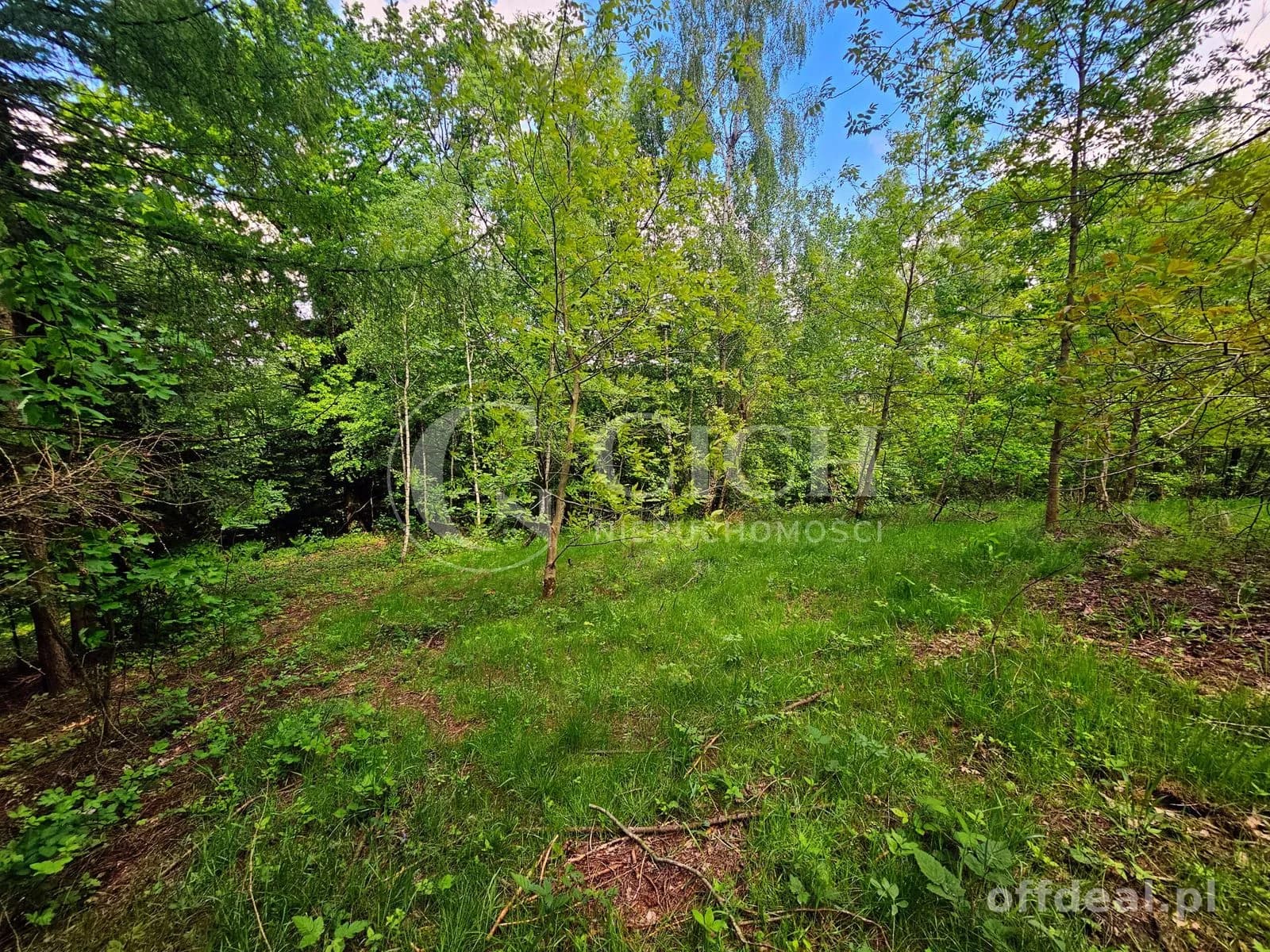 Działka budowlano-leśna 0,8445 ha | Łękawka gm. Tarnów