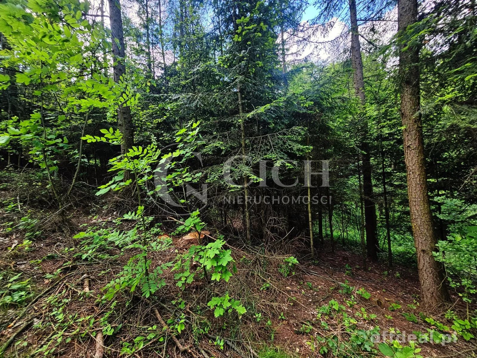 Działka budowlano-leśna 0,8445 ha | Łękawka gm. Tarnów