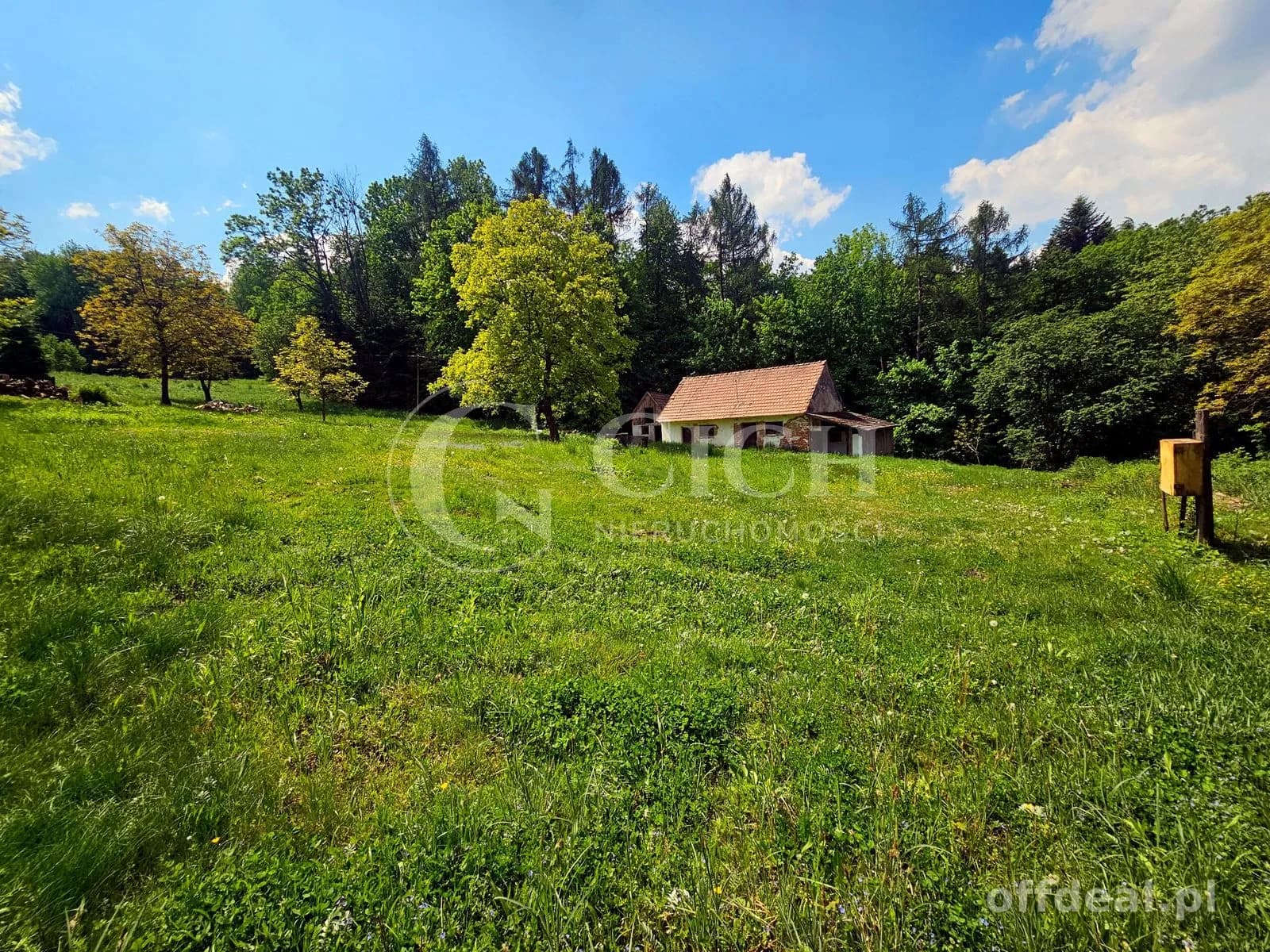 Działka budowlano-leśna 0,8445 ha | Łękawka gm. Tarnów