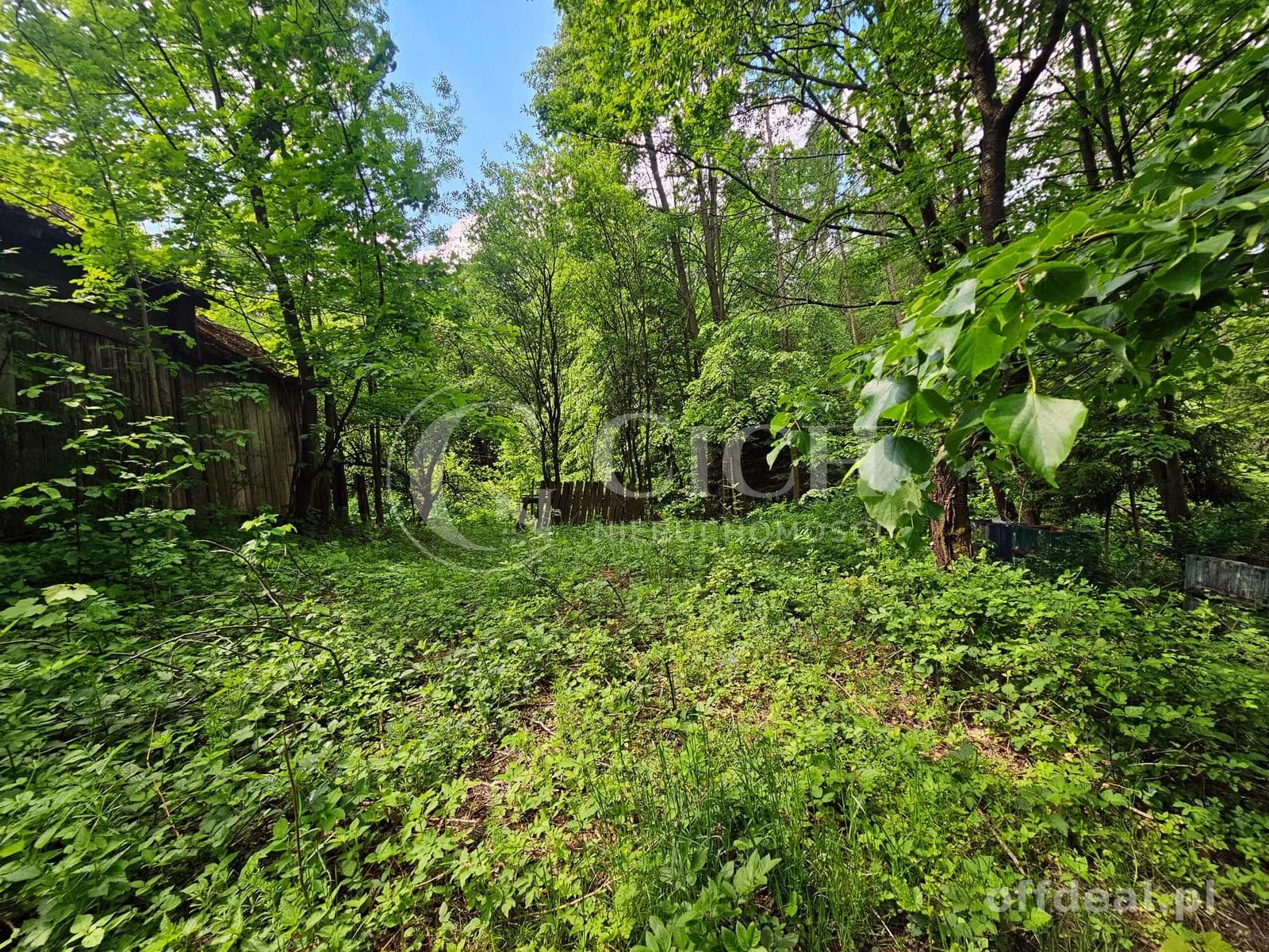 Działka budowlano-leśna 0,8445 ha | Łękawka gm. Tarnów