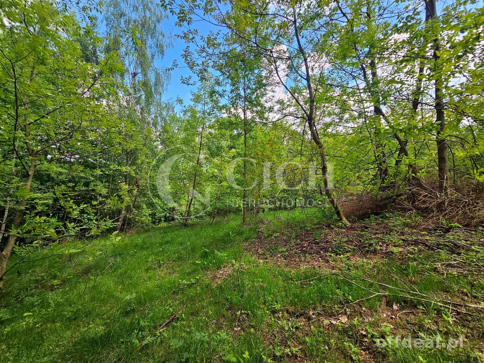 Działka budowlano-leśna 0,8445 ha | Łękawka gm. Tarnów