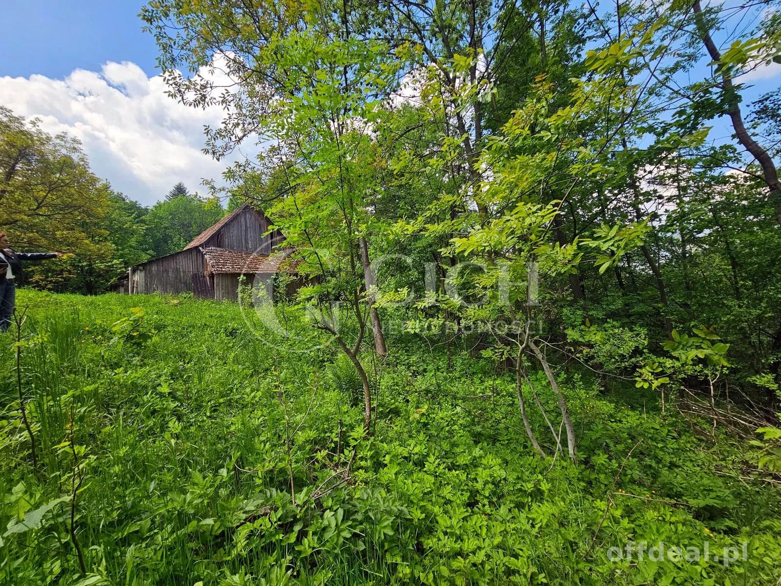 Działka budowlano-leśna 0,8445 ha | Łękawka gm. Tarnów