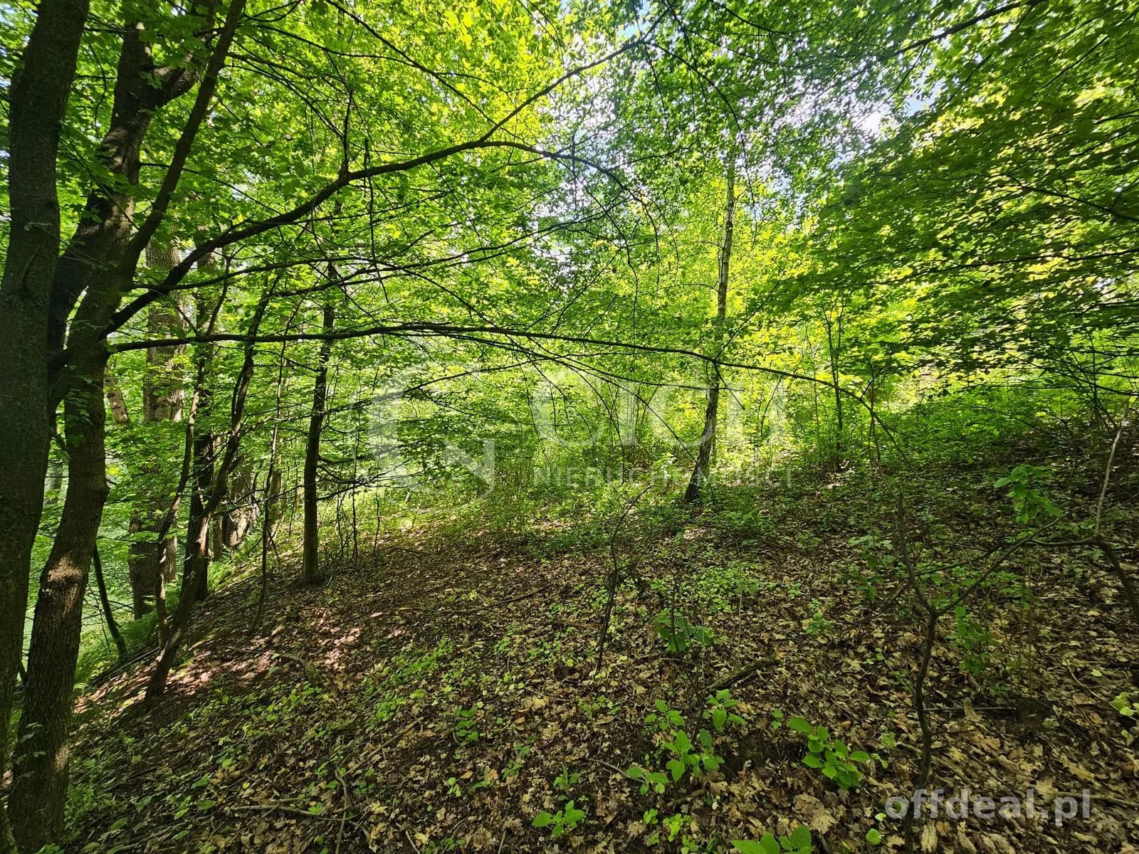 Działka budowlano-leśna 0,8445 ha | Łękawka gm. Tarnów