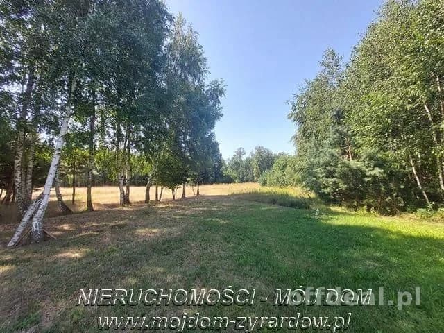 Działka rolna 2,5 ha.