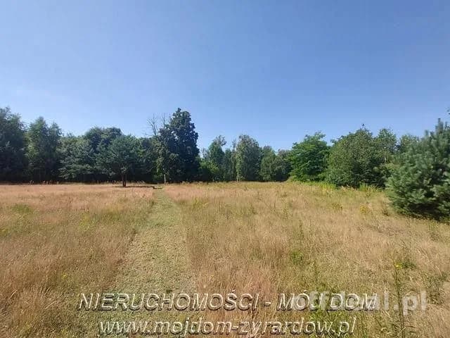 Działka rolna 2,5 ha.