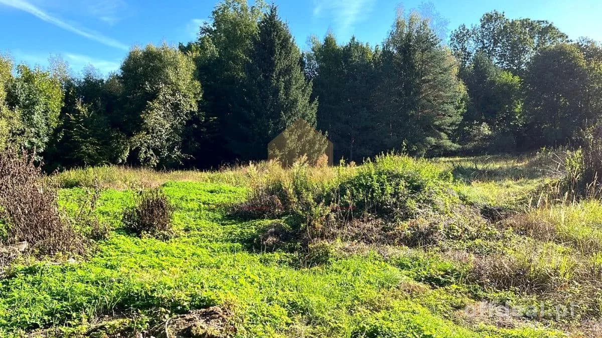 Zdjęcie 3: Działka, 3400 m², Bystrzyca Kłodzka