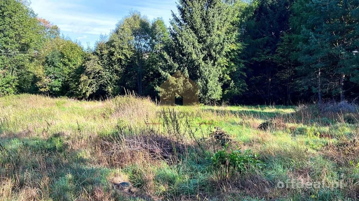 Zdjęcie 7: Działka, 3400 m², Bystrzyca Kłodzka