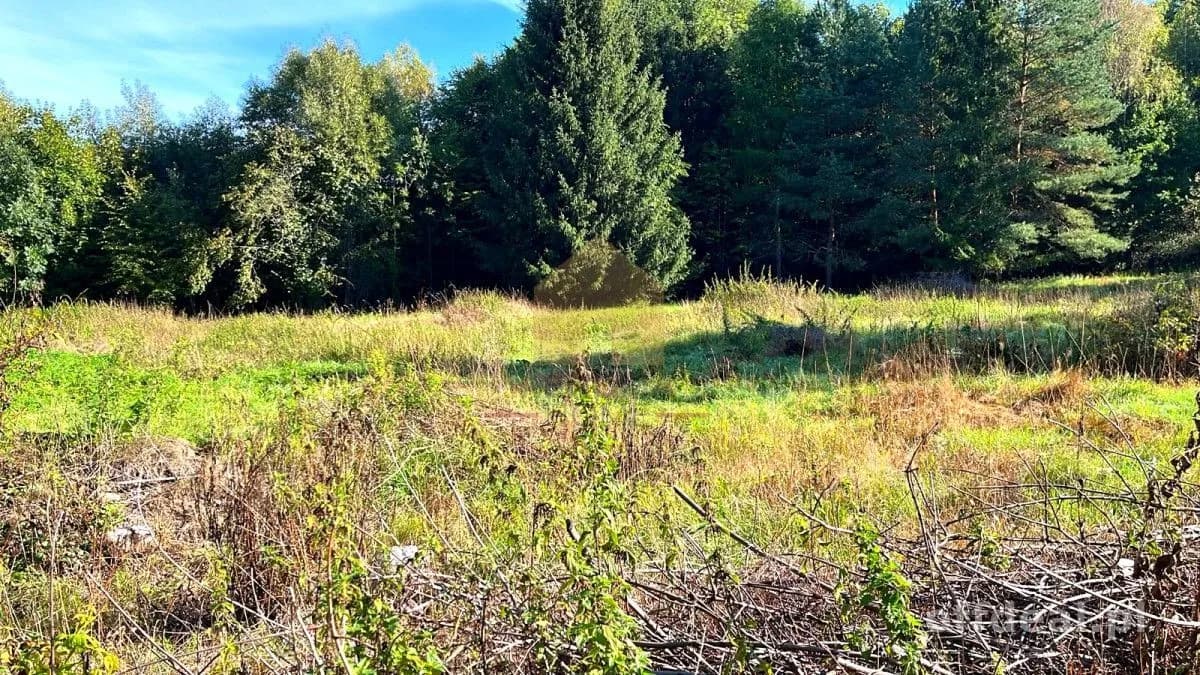 Zdjęcie 1: Działka, 3400 m², Bystrzyca Kłodzka