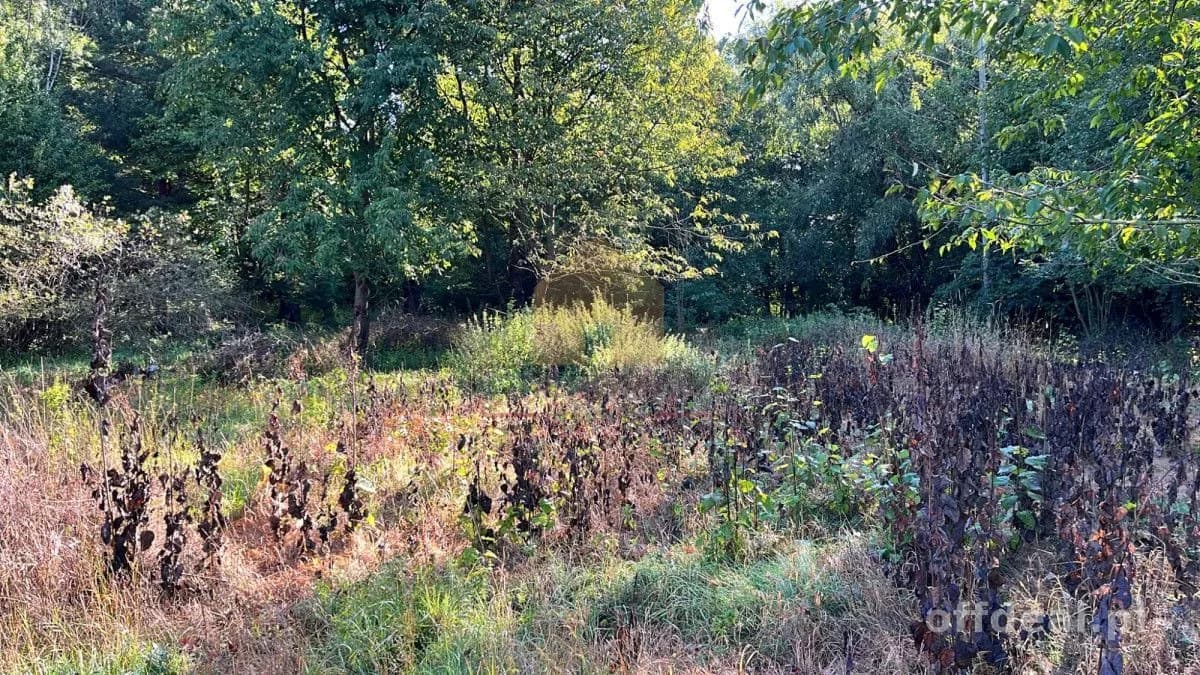 Zdjęcie 9: Działka, 3400 m², Bystrzyca Kłodzka