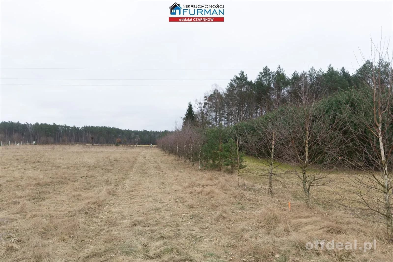 działka na sprzedaż w Klempiczu gmina Lubasz