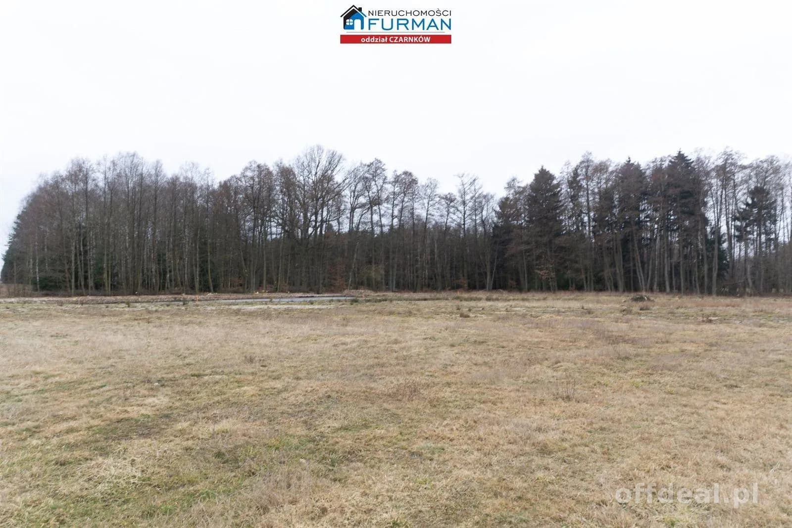działka na sprzedaż w Klempiczu gmina Lubasz