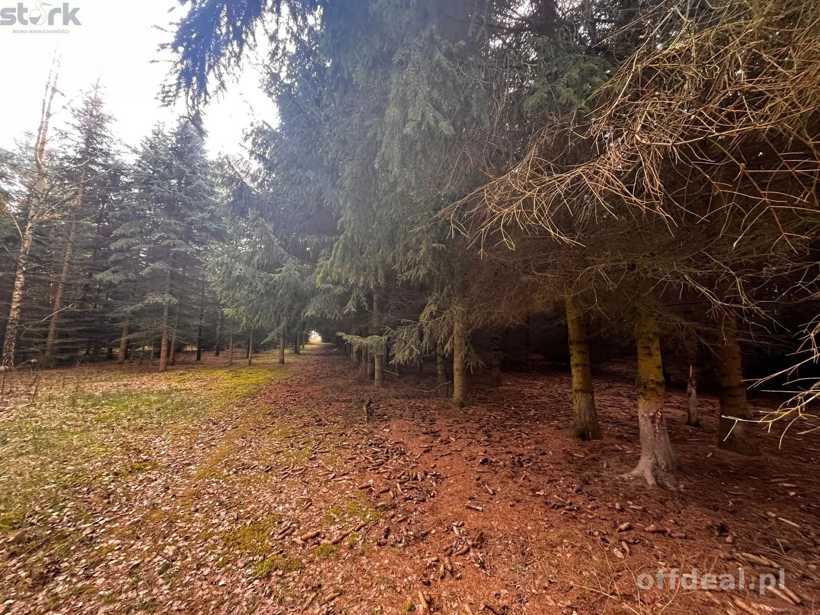 Teren inwestycyjny 4,26 ha MPZP -1PU ok.Mszczonów