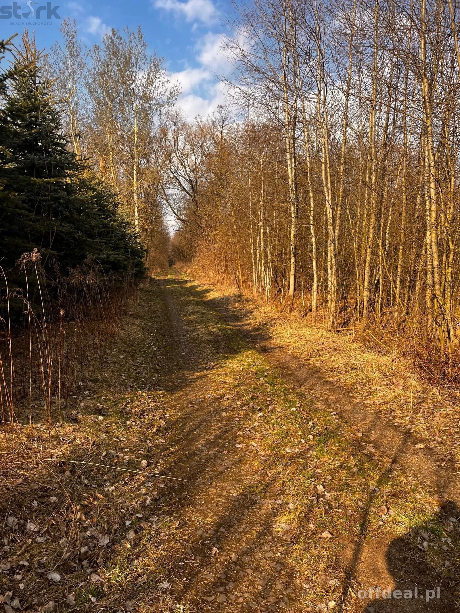 Teren inwestycyjny 4,26 ha MPZP -1PU ok.Mszczonów