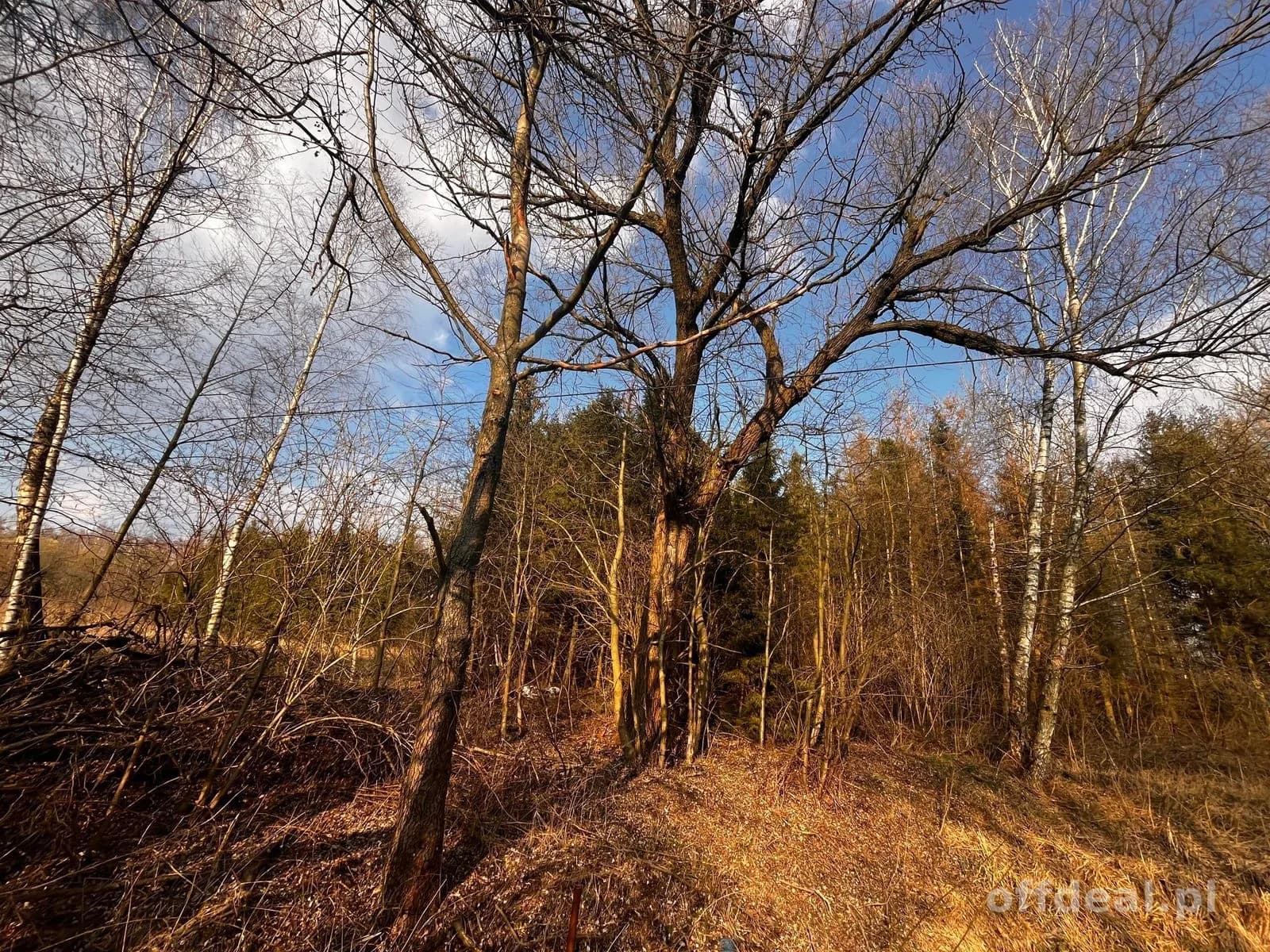 Teren inwestycyjny 4,26 ha MPZP -1PU ok.Mszczonów