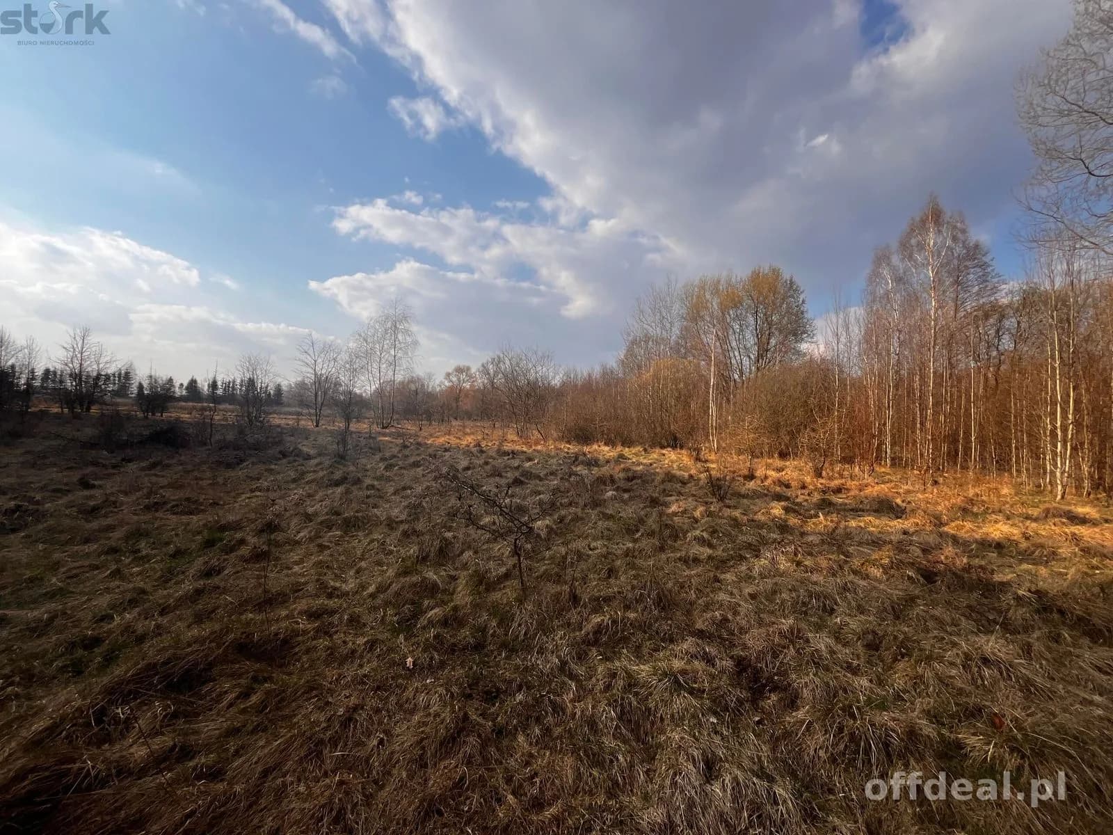 Teren inwestycyjny 4,26 ha MPZP -1PU ok.Mszczonów