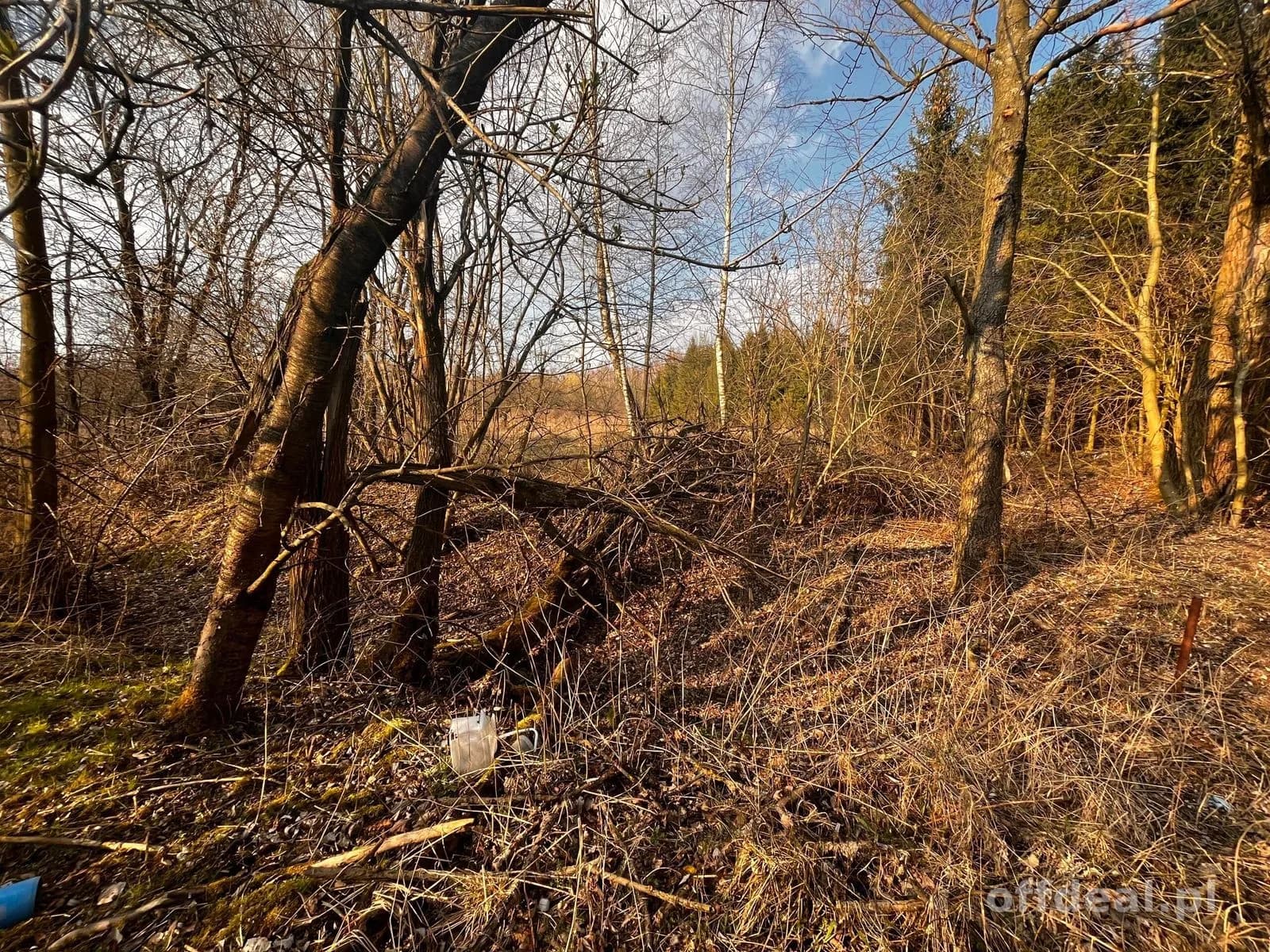 Teren inwestycyjny 4,26 ha MPZP -1PU ok.Mszczonów