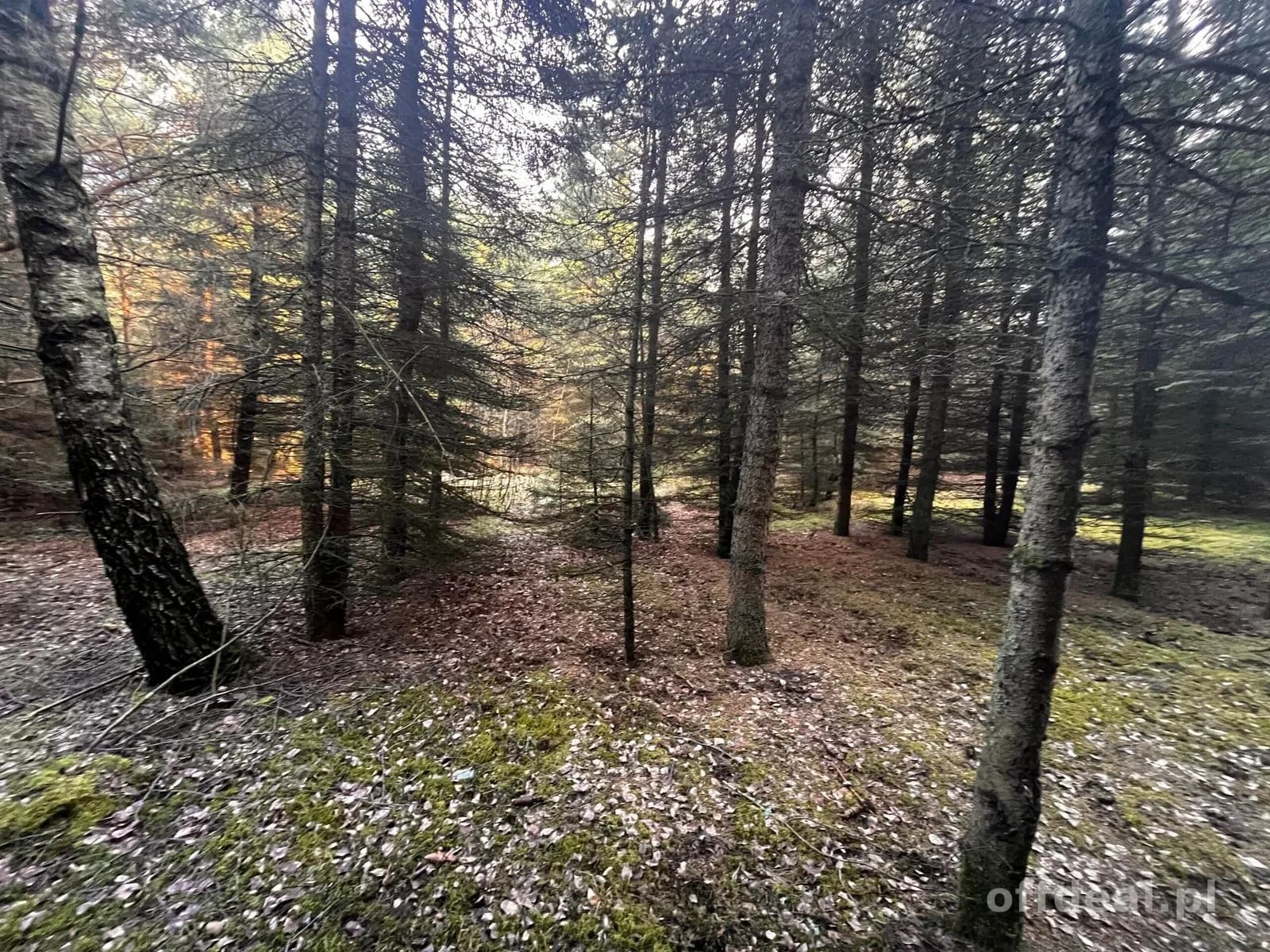 Teren inwestycyjny 4,26 ha MPZP -1PU ok.Mszczonów