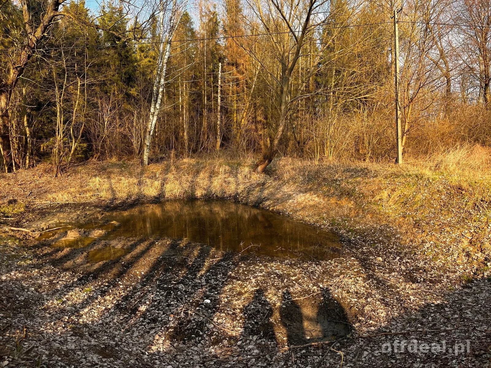 Teren inwestycyjny 4,26 ha MPZP -1PU ok.Mszczonów