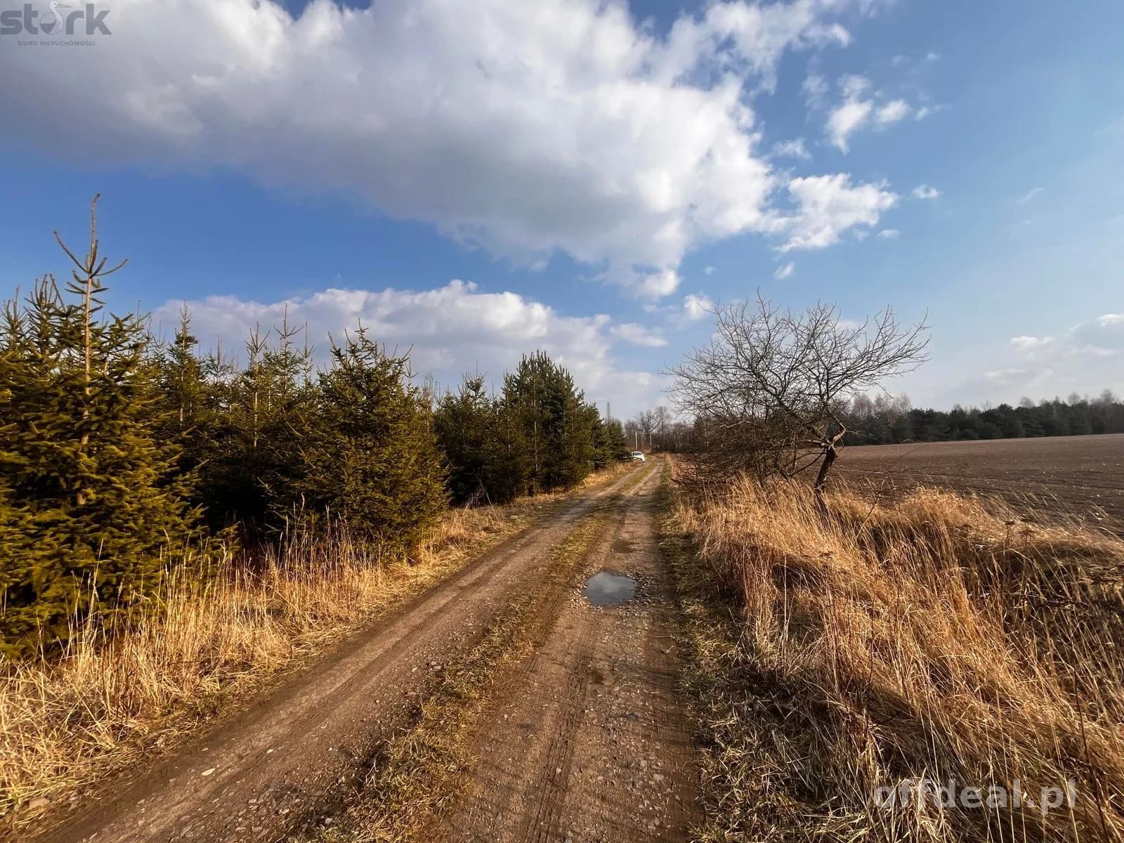 Teren inwestycyjny 4,26 ha MPZP -1PU ok.Mszczonów