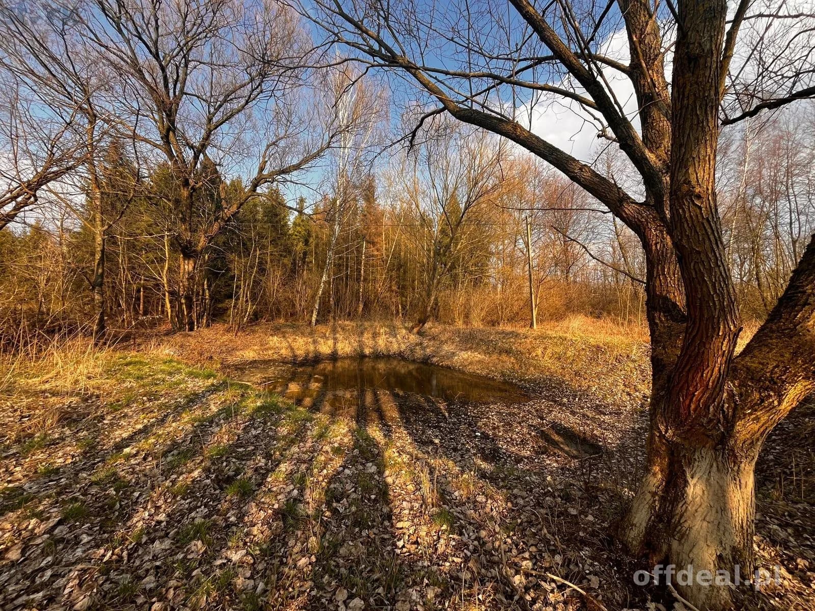 Teren inwestycyjny 4,26 ha MPZP -1PU ok.Mszczonów
