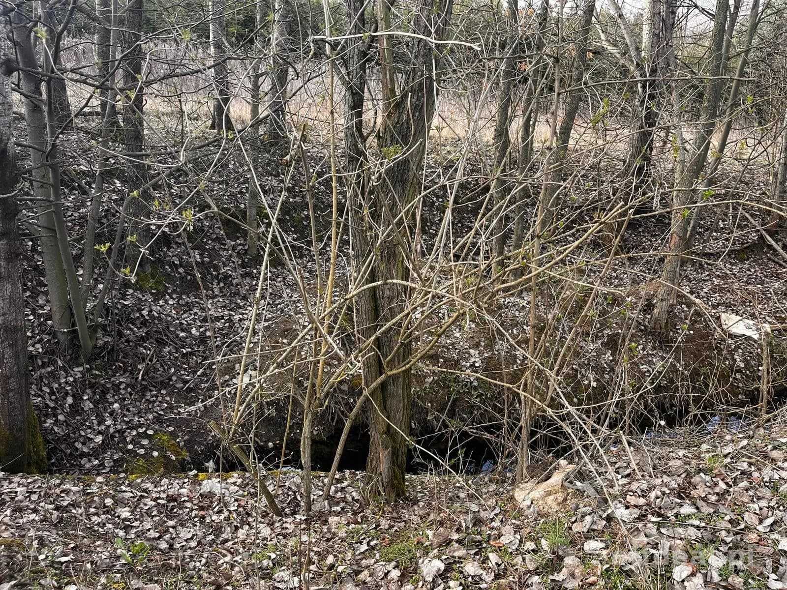 Teren inwestycyjny 4,26 ha MPZP -1PU ok.Mszczonów