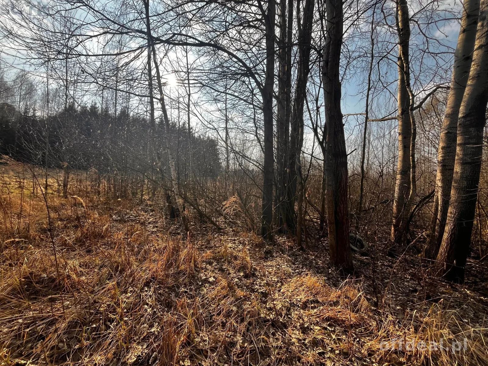 Teren inwestycyjny 4,26 ha MPZP -1PU ok.Mszczonów