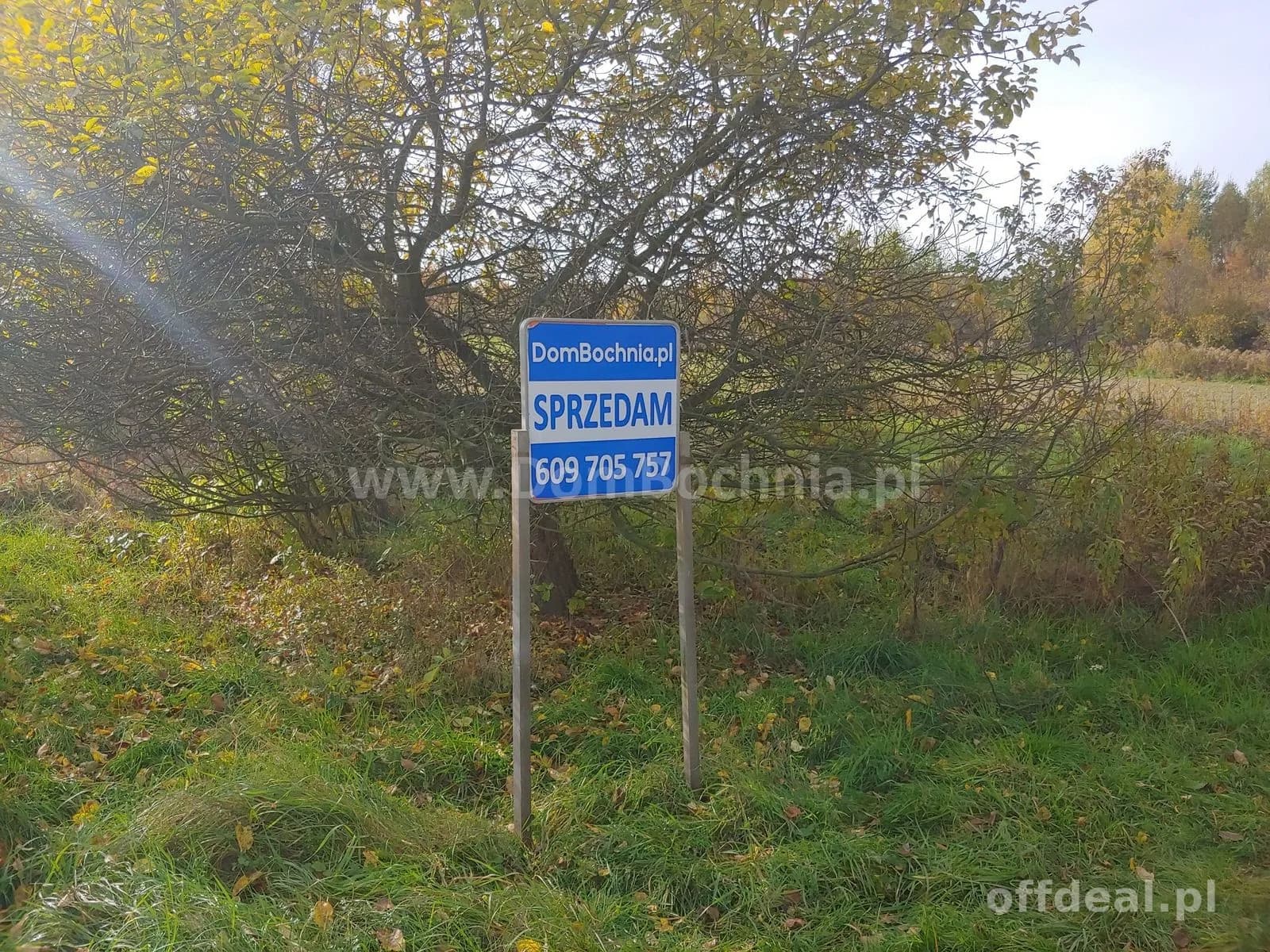 Krzeczów 32ary wąska budowlana działka