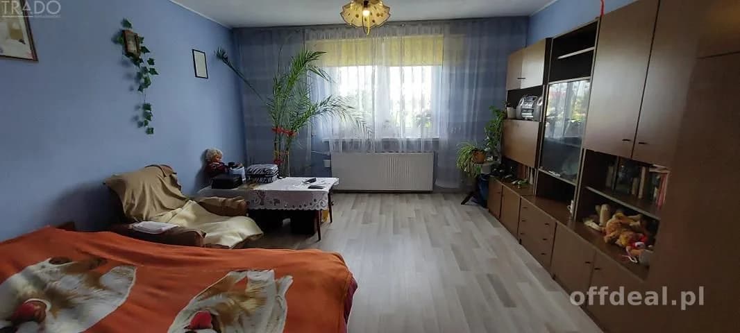 Gospodarstwo 5,72 ha Góraj gm. Babiak