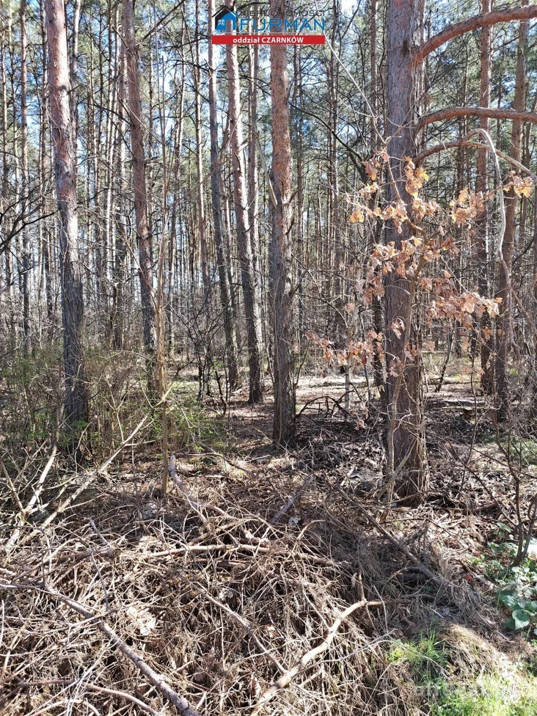 terrain à vendre à Biała | 1 498 m²