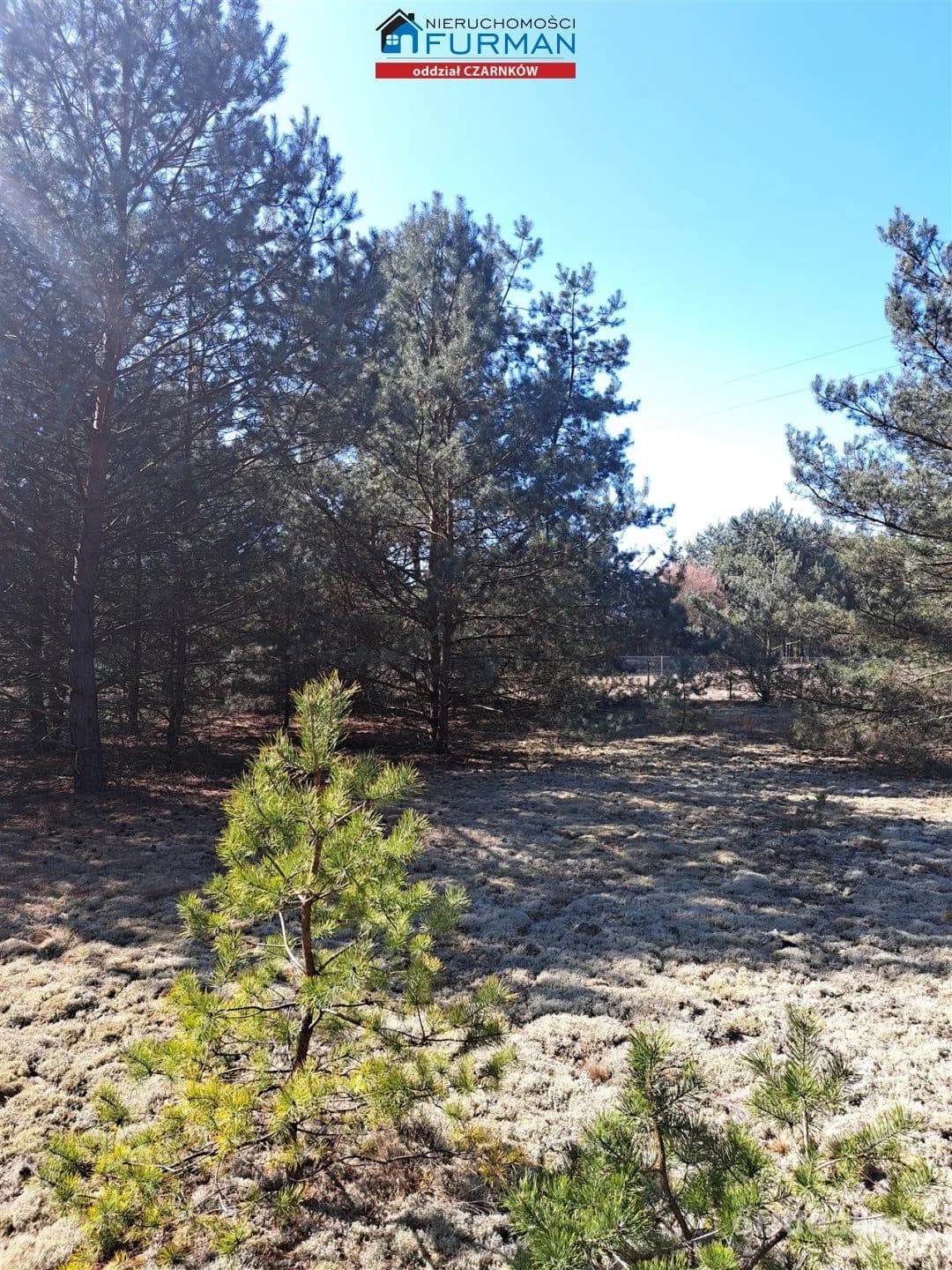 terrain à vendre à Biała | 1 498 m²