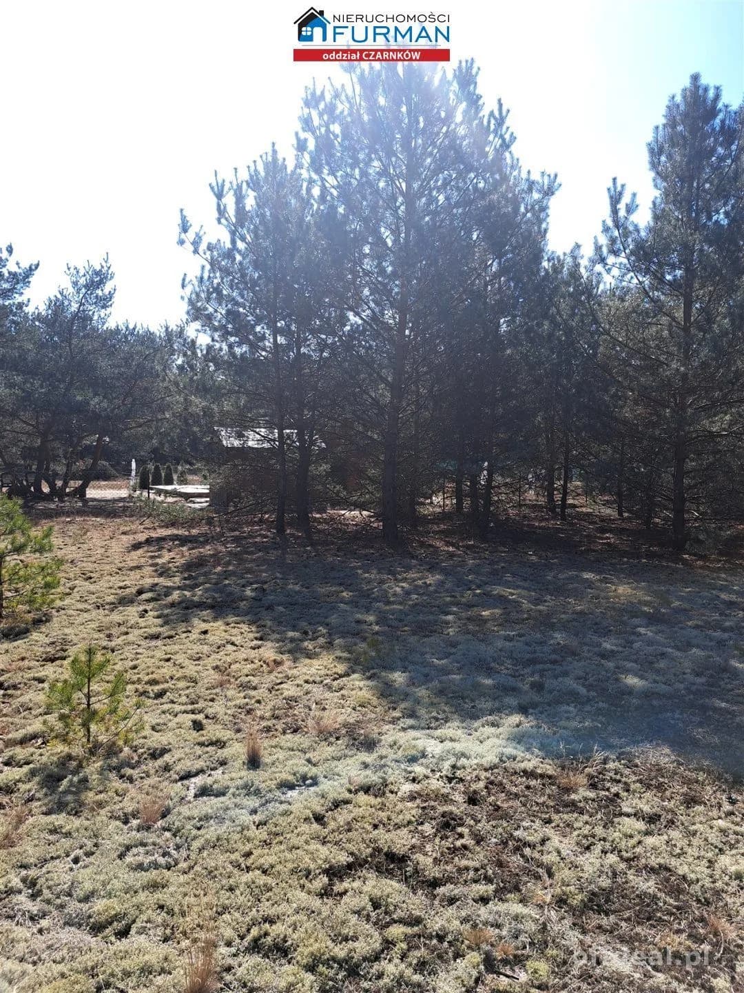 terrain à vendre à Biała | 1 498 m²